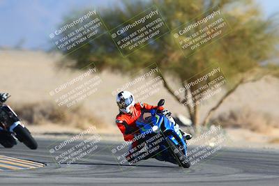 media/Jan-14-2024-SoCal Trackdays (Sun) [[2e55ec21a6]]/Turn 4 Tree of Life (155pm)/